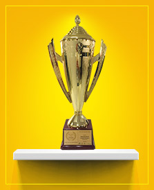 Awards-Shopclues