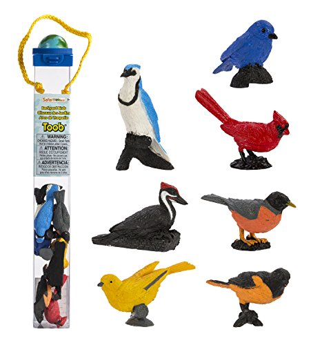 Buy Safari Ltd Backyard Birds TOOB Online @ ₹1810 from ShopClues