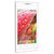 Intex Aqua Y2 Smart Mobile Phone (White)