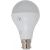 RR 20 W LED BULB