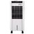 Vego Frost I Air Cooler 42 LTR