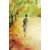 Conves Painting