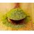 Green Tea Facial Powder, Face mask, Homemade Facial Kit for skin care - 100 Gram