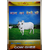 Patanjali Desi Cow Ghee 1kg-Best Deal
