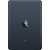 Apple 16GB iPad Mini with Wi-Fi (Black and Slate)