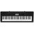 Casio Musical Keyboard CTK-3200, 61 keys,400 Tones,USB port,Pitch Bend