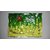 Ghar Sansaar Gulf Dates/Khajoor 500 gm