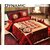 Daynamic Premium Comfort Set Total 8 Pcs Set (More than a Quilt)