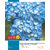 Camlin Medium Notebook - Soft Cover,  84 Pages, Single Line (pack of 40)