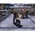 Urban Reign Pc Game