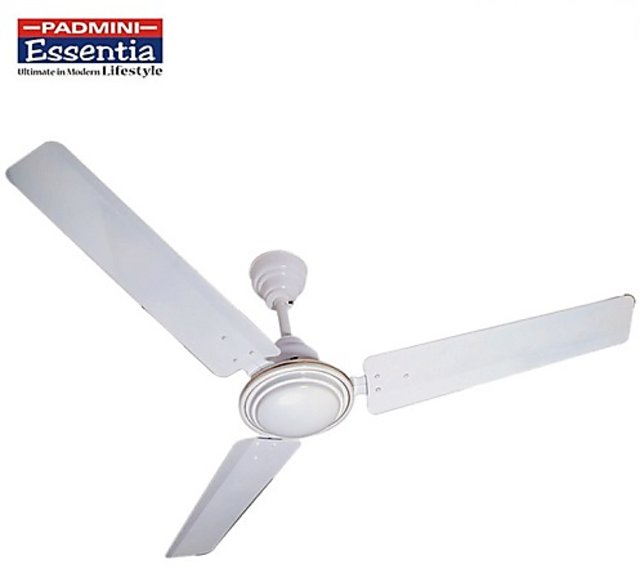 Buy Padmini Ceiling Fan Wonder 48 In 1200mm With Brand Warranty Online ...