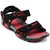 Sparx Styles Black red Sandals  428