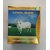 Patanjali 100  Pure Cow Ghee 200 ml