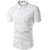 shankars men shirt in white colour