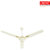 Orpat Premium Ceiling Fan Air  Mist