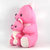 Cute Teddy Bear - Soft Toy - Stuff Toy For Kids  Children
