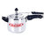 Real Gold Pressure Cooker