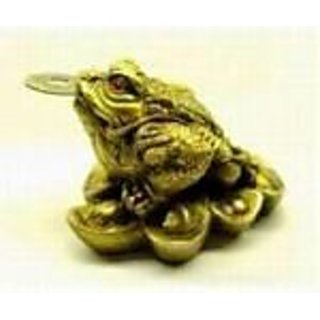 Frog with coin