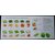 Apex 14 In 1 Nicer N Dicer