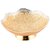Sheelas Bowl CodeSH01650
