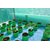 HDPE Grow bag 5 nos Size 12 x 15 Inch ( 1 x 1.25 feet) Terrace/Kitchen Garden