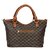 Bagkok Brown Printed Casual Totes