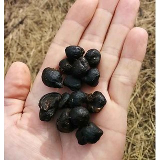 obstbume natrlich dngen Obstbume Dnger Langzeitwirkung