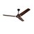 Combo of 2 Brown Ceiling Fan