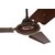 Combo of 2 Brown Ceiling Fan