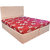Centuary Flexi HR 5 King Size Foam Mattress (Maroon, 75x72x5)