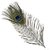 Mor Pankh 3 Pc / Morpankh / Natural Peacock Feathers / Natural Beautiful Peacock Eye Feathers Tails (Set of 3 Pieces