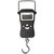 American Weigh Scale American Weigh H-110 Digital Hanging Scale, 110 X 0.05-Pounds