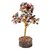 Feng Shui 300 Multi Color Stone Tree