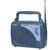 Philips DL167 40 FM Radio