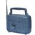 Philips DL167 40 FM Radio