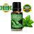 ZAAI NATURALS Basil Diffuser Oil Essential Oil - 10 ML, With Free Dropper