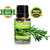 ZAAI NATURALS Rosemary Diffuser Essential Oil  10 - ML, With Free Dropper