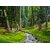 Beautiful Painting In Oil Landscapes