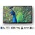 Sony KLV32R302E  32 inches(81.28 cm) HD Ready LED Tv