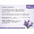 Zaai Naturals Pure Lavender Essential Oil for Bath, Body  Aroma Diffuser - 15 ML
