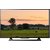 Sony 80 cm (32 inches) Bravia KLV-32W512D HD Ready Smart LED TV