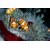 Avikalp Exclusive AZOHP2508 Clownfish Sea Corals Full HD Poster Latest Best New 3D Look Beautiful