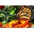 Avikalp Exclusive AZOHP2513 Colorful Butterfly On Orange Flower Full HD Poster Latest Best New 3D Look Beautiful