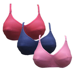 Minha Seamless Non-Padded T-Shirt Bra Pack Of 3 (Blue, Pink, Purple)