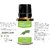 Zaai Naturals Pure Rosemary Essential Oil for Bath, Body Aroma Diffuser - 15 ML