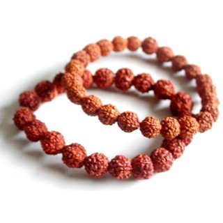 Yuvi Shoppe 5- Mukhi Rudraksha Bracelet Pair, Real Rudraksha Bracelet