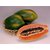 Papaya Red Lady Hybrid By Known You Seeds, Taiwan 25 Seeds