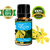 ZAAI NATURALS Ylang Ylang Diffuser Essential Oil With Dropper 15 ml 100 Pure