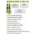 Ondoliva Extra Virgin Olive Oil 1 l Pack of 2