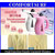 NEW 2 IN 1 Handheld Garment  FACIAL STEAMER RZ 608